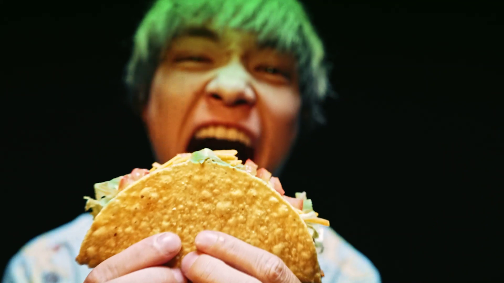 TACOISM gallery 2