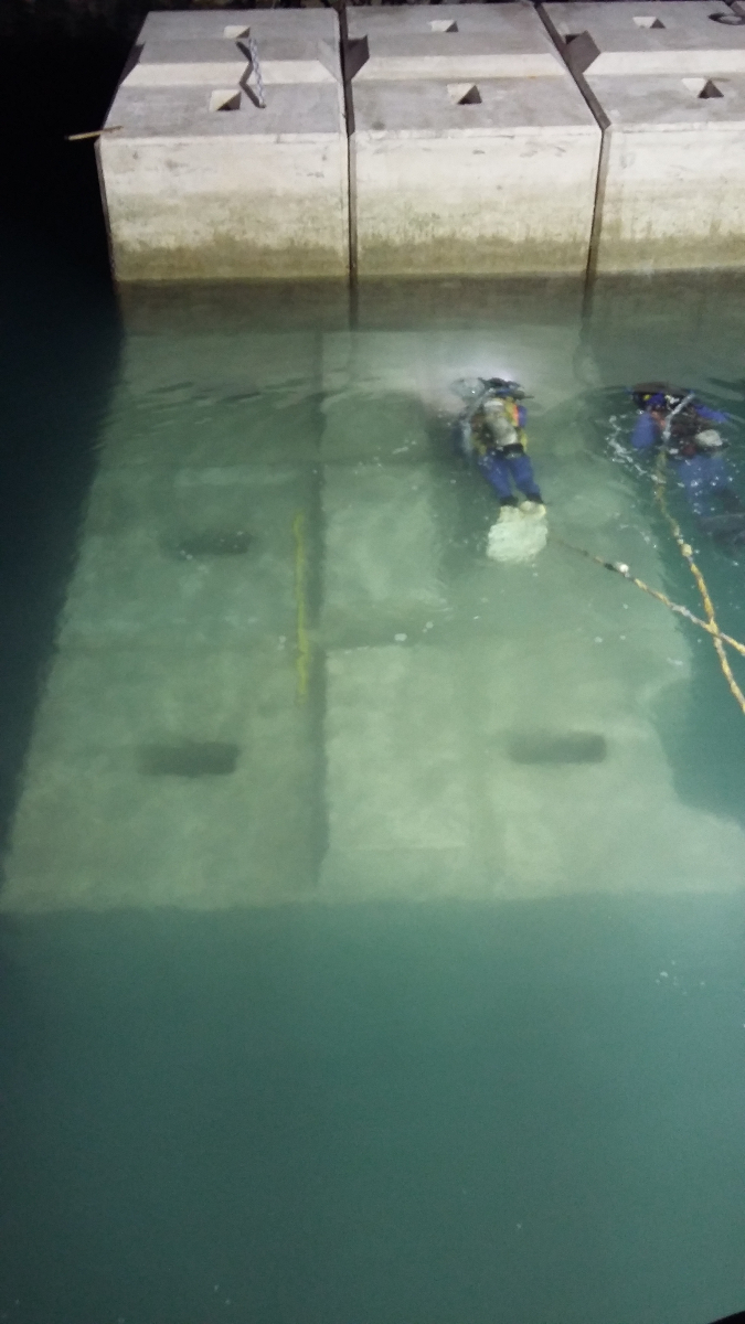 Professional Diving Operations