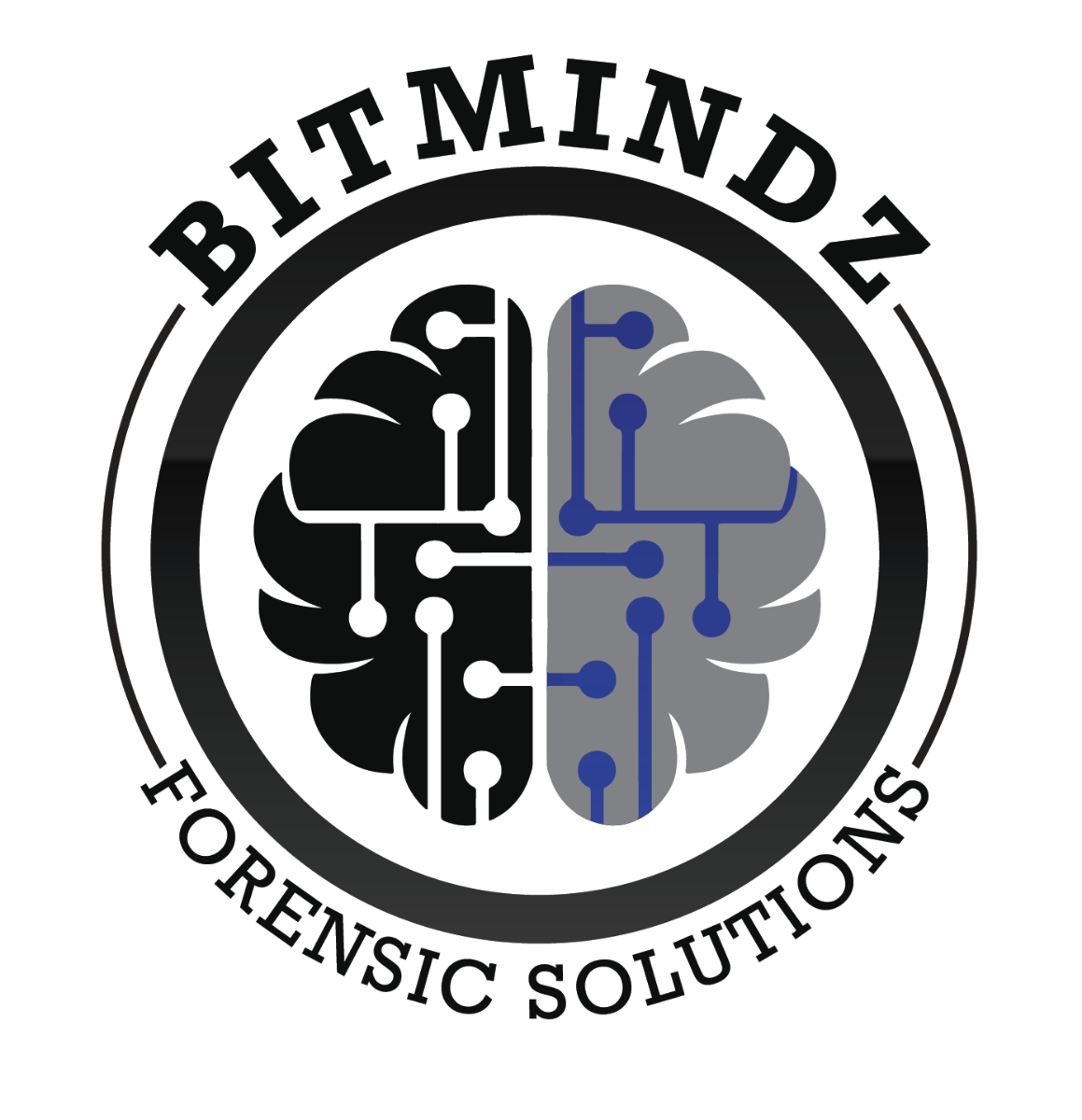 Bitmindz Forensic solutions logo