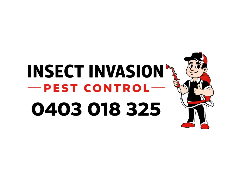 Insect Invasion Logo