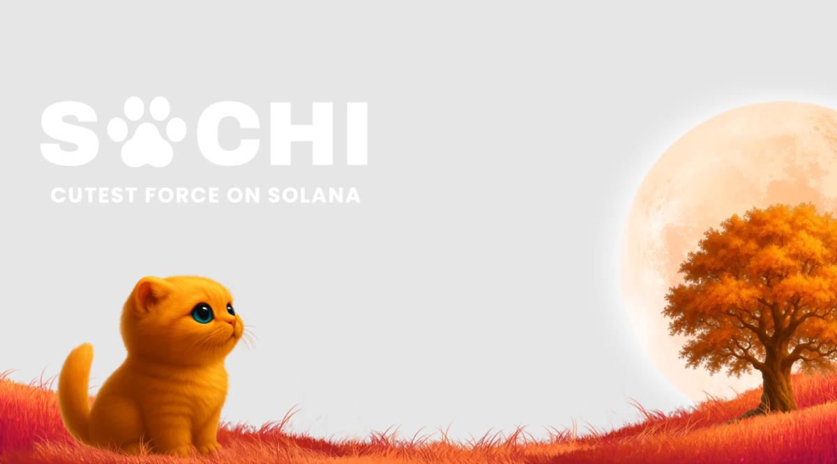 PURRKIT in a cozy corner