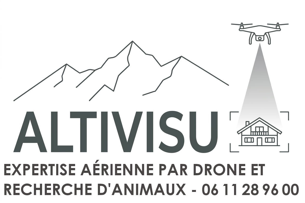 Logo ALTIVISU