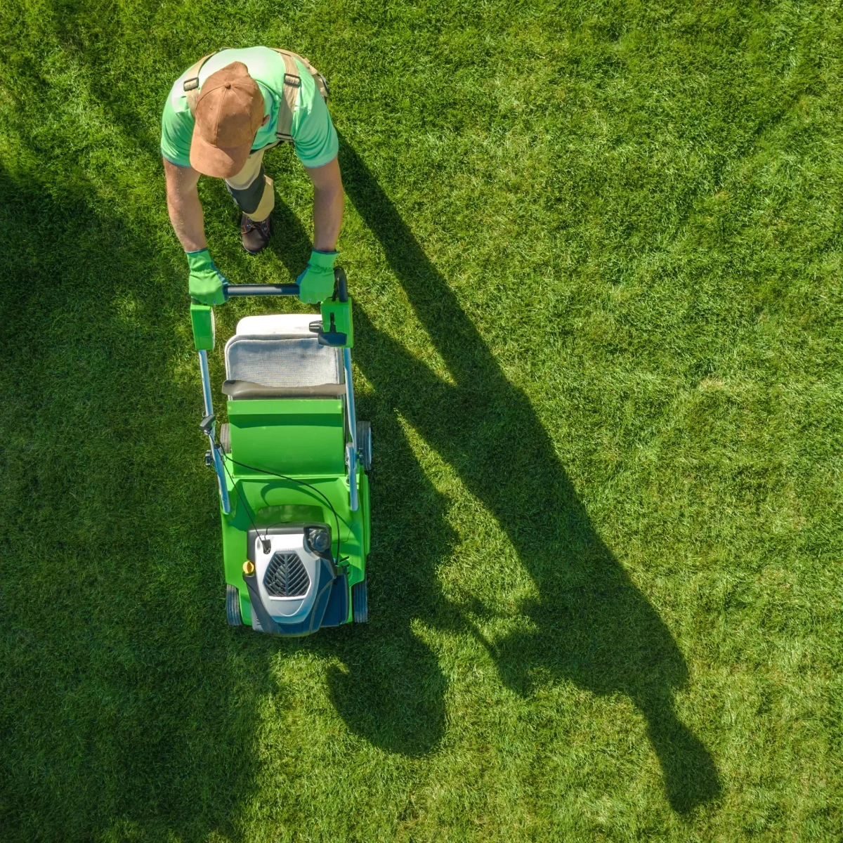 Mowzey Team Working in the Field