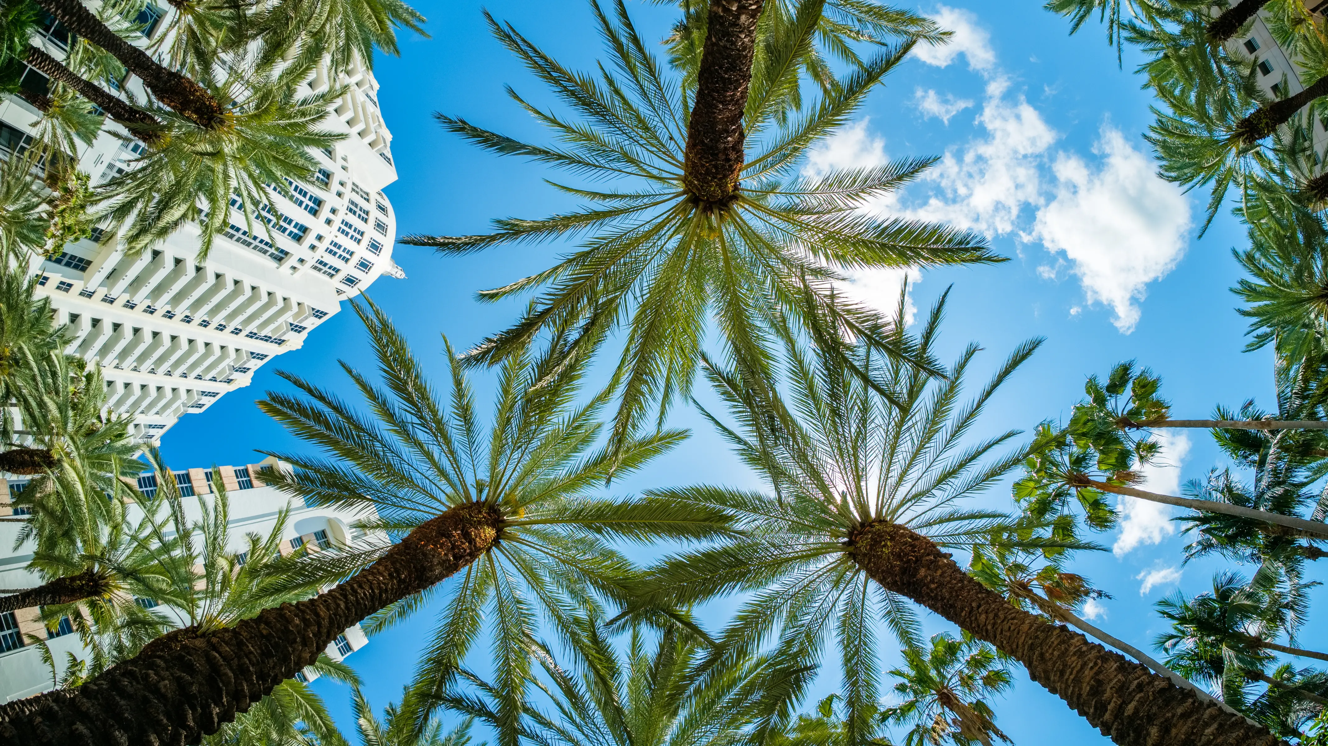 Current Projects Hero