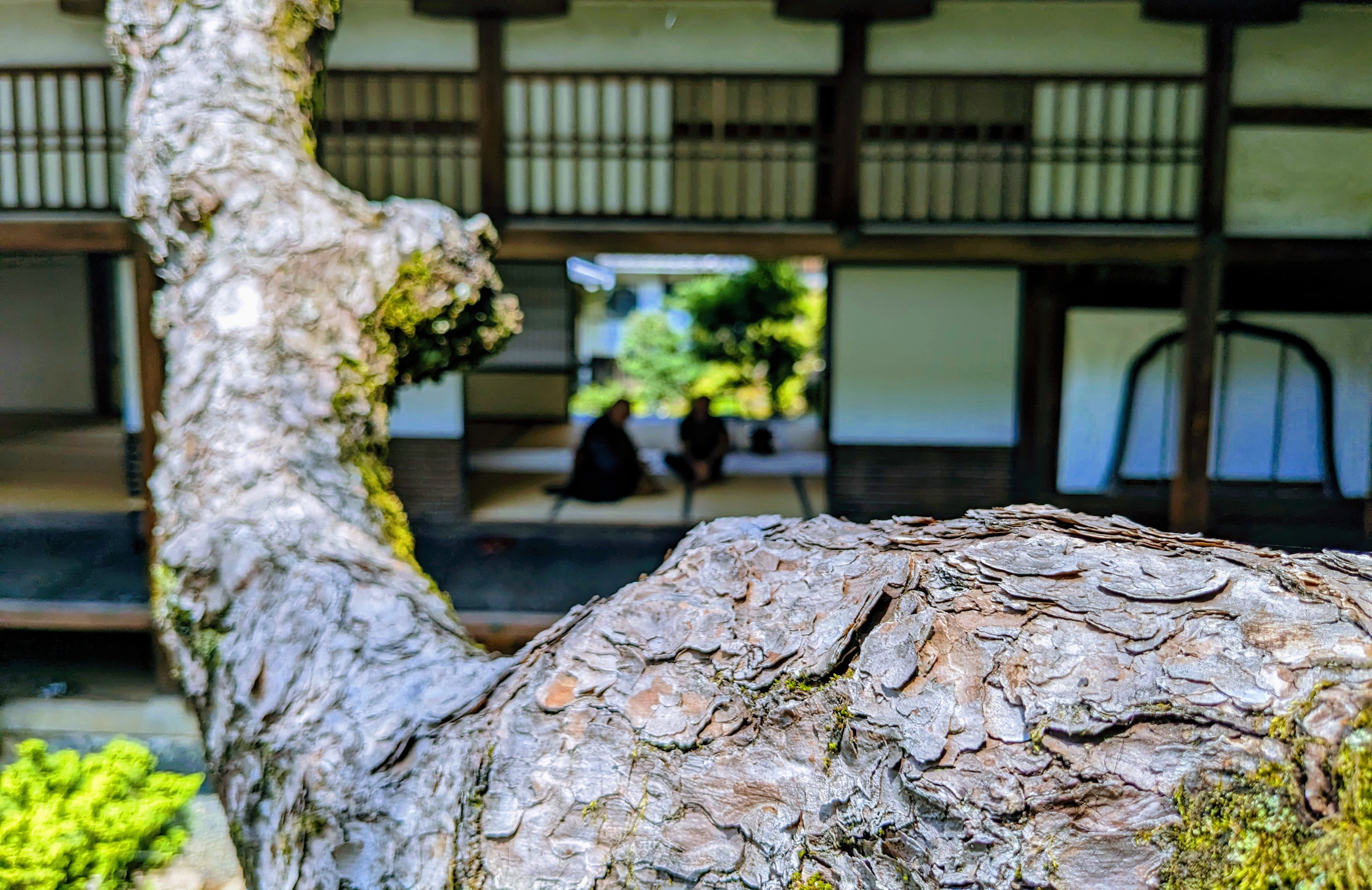Zen temple garden path