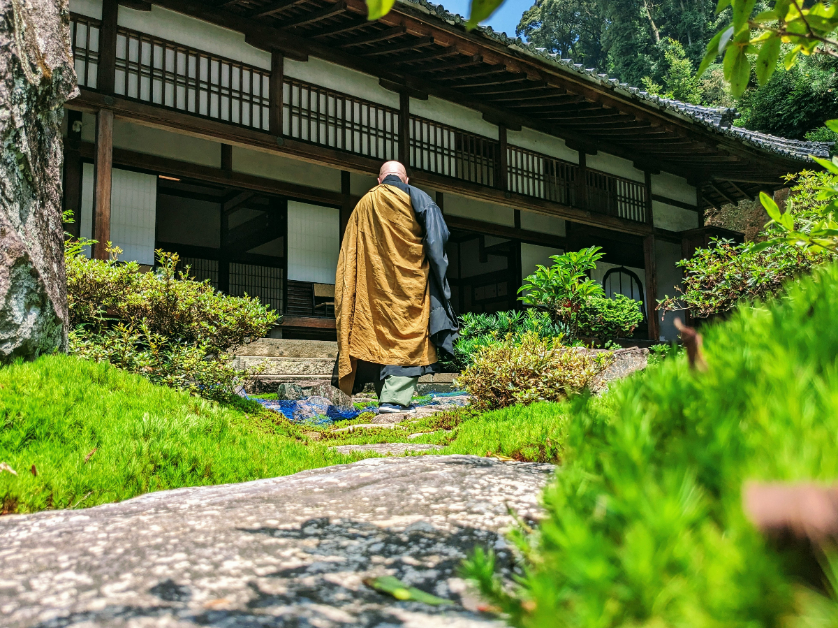 Walking the temple path