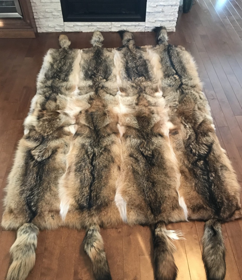 Fur Collection