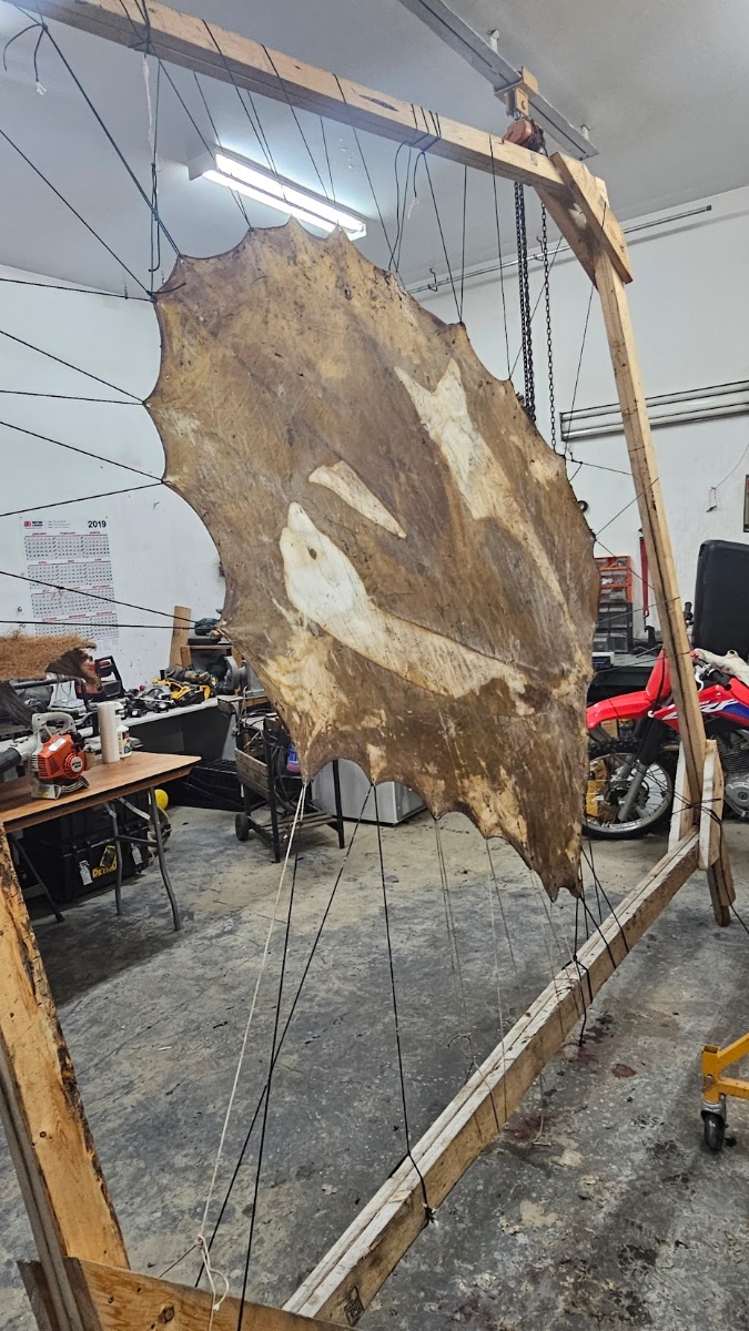 Premium Hide Tanning