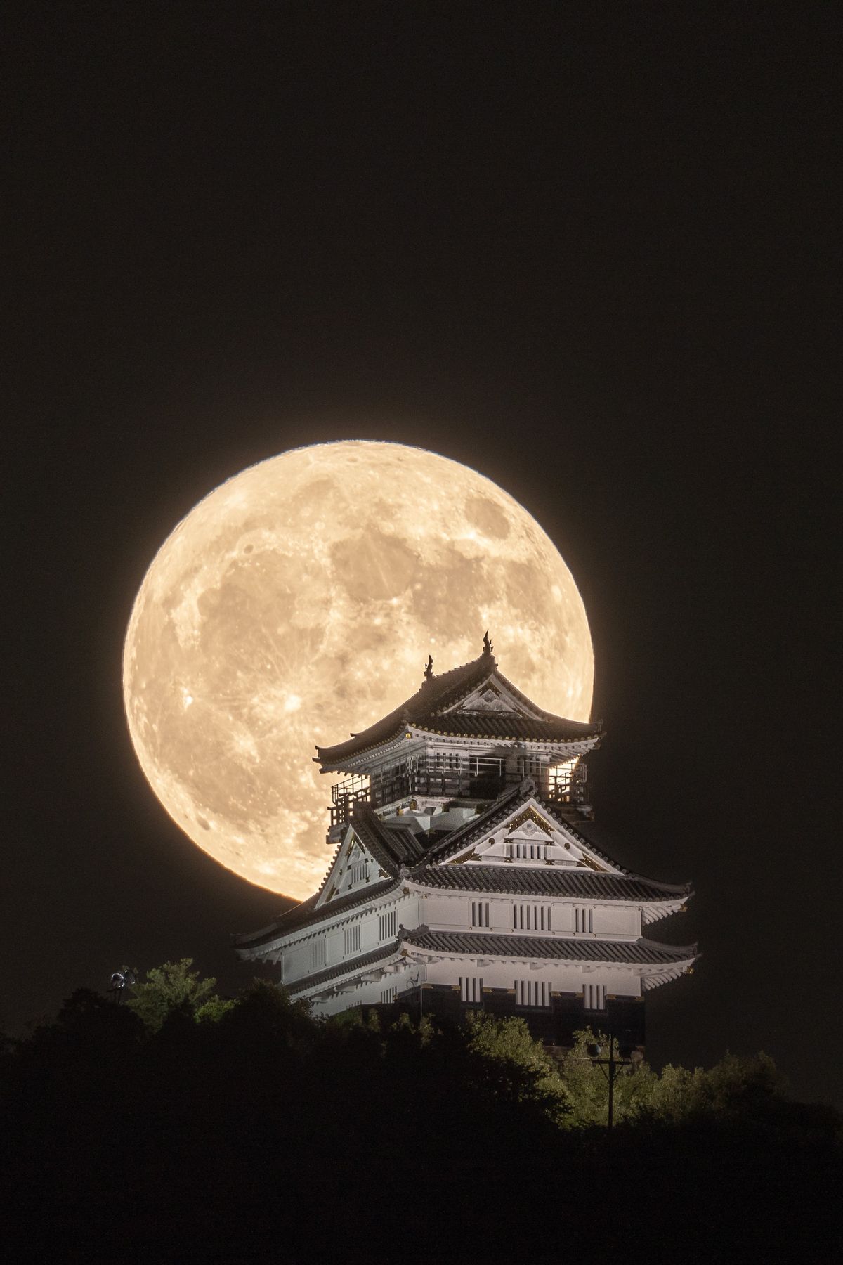 Students collaborating