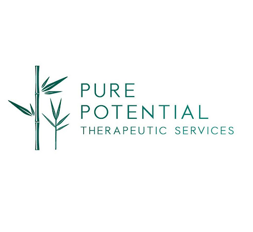 Pure Potential Therapeutic Services