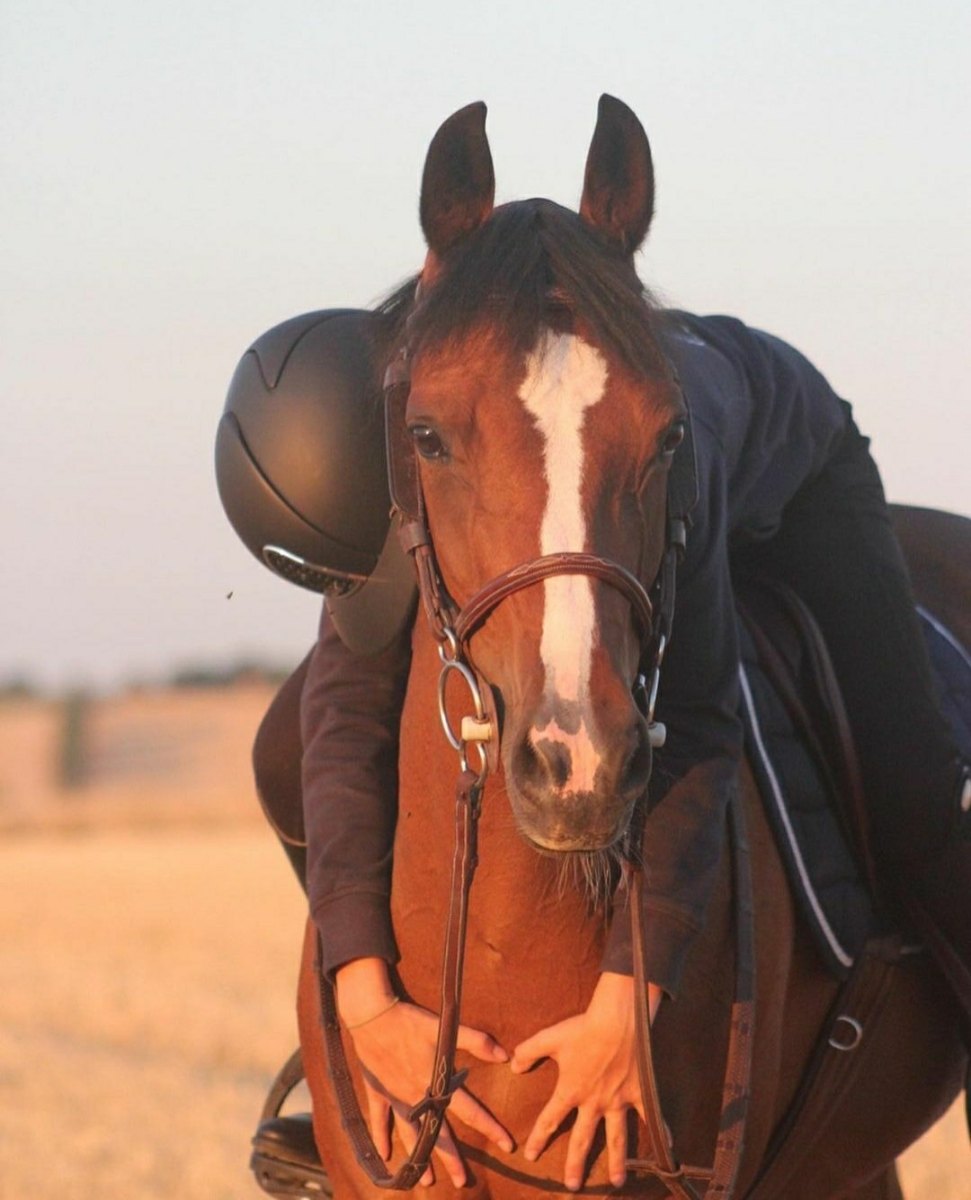 Cavalière en harmonie avec son cheval