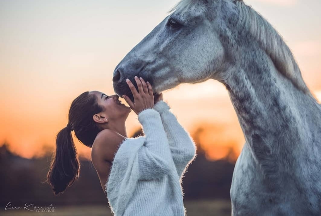 Relation cavalière-cheval