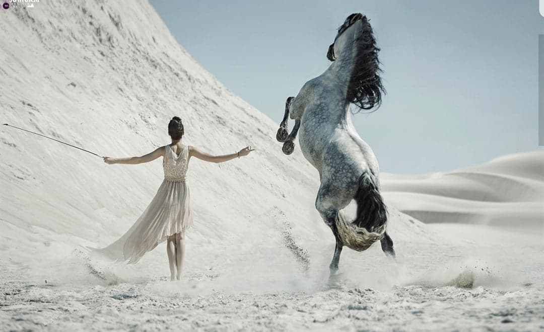 Cavalière en harmonie avec son cheval