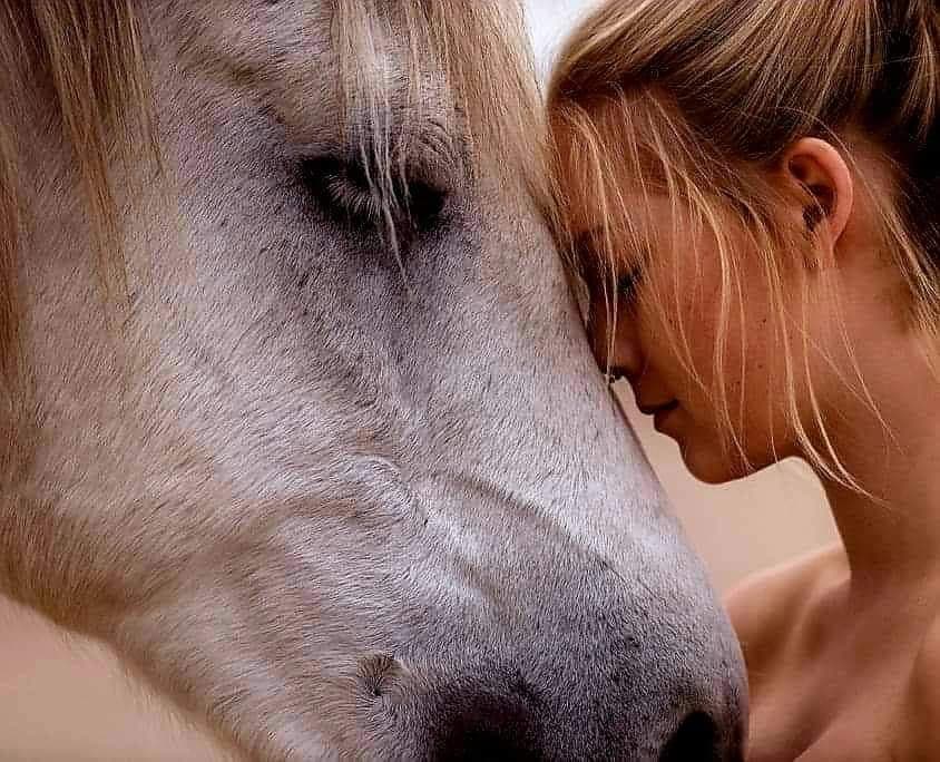 Cavalière montrant de l'inconfort