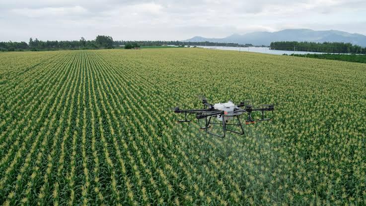 Drone ile Zirai İlaçlama