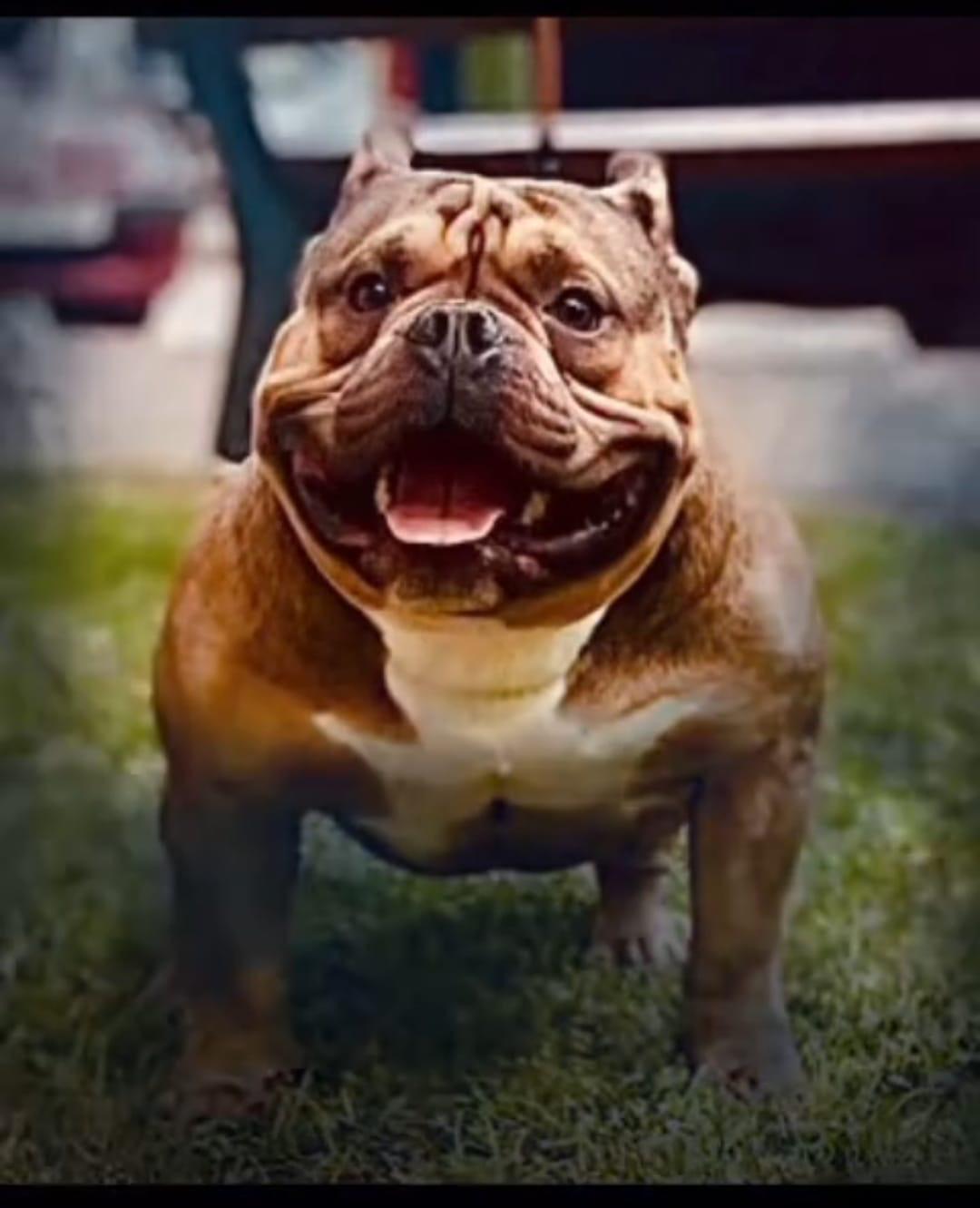 Oportunidad de Negocio