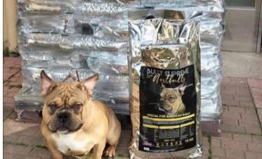 Guía Completa de Nutrición para American Bully