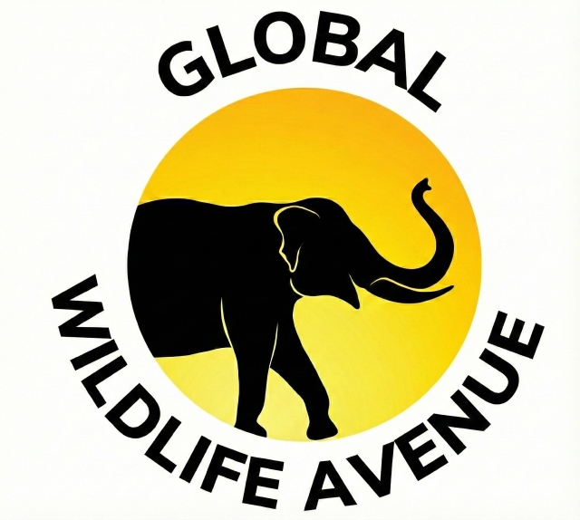 Global Wildlife Avenue