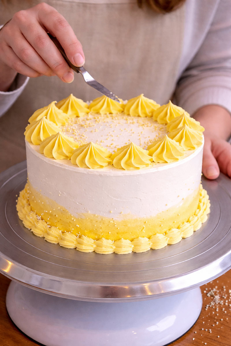 Cake creation 8 from Sprinkle Studio