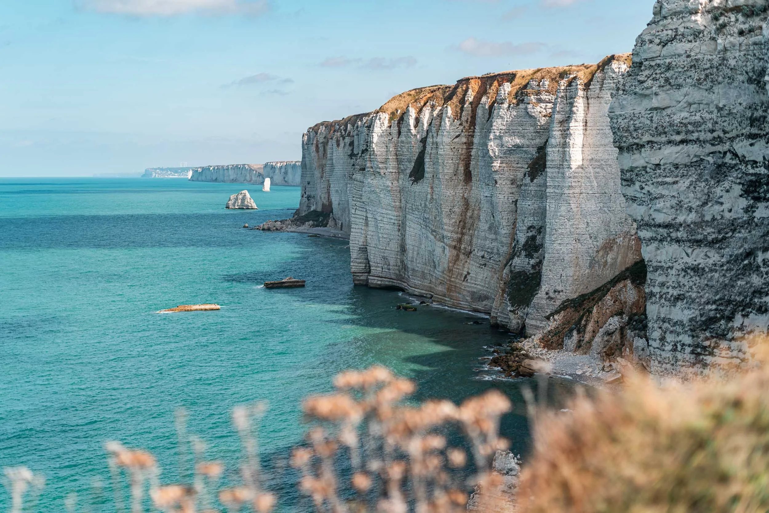 Newsletter background