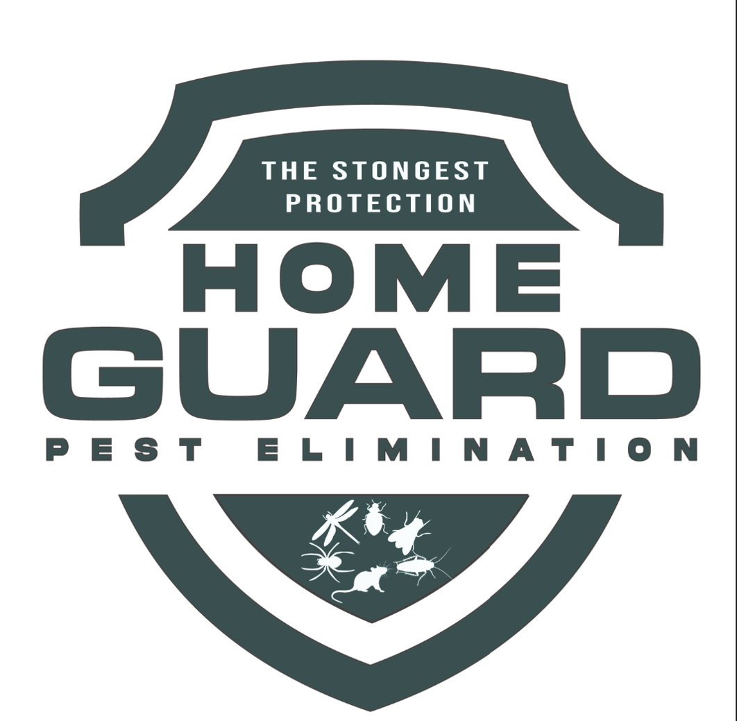 Home Guard Complete: The Ultimate Invisible Shield