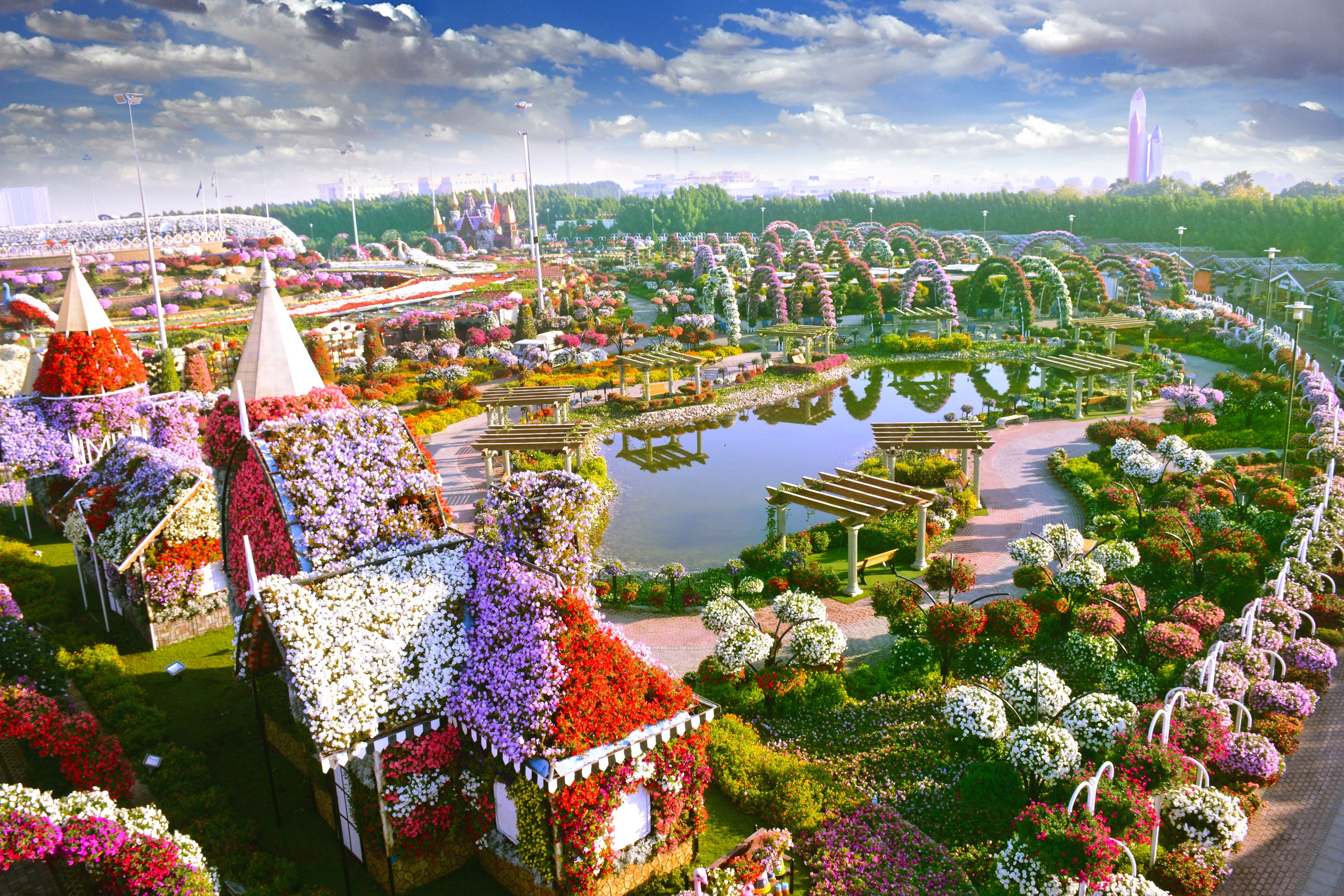 Dubai Miracle Garden overview