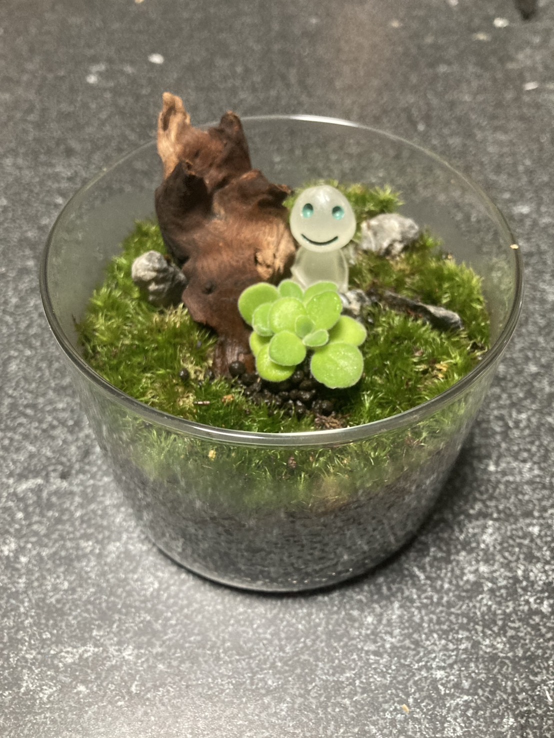 木の質感