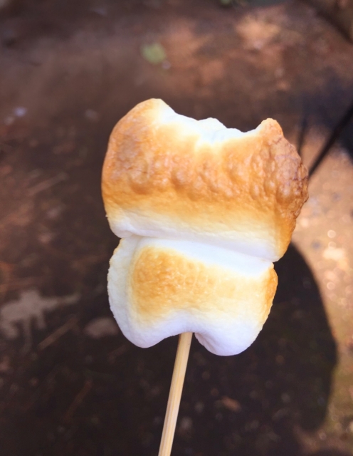 焼きマシュマロ体験