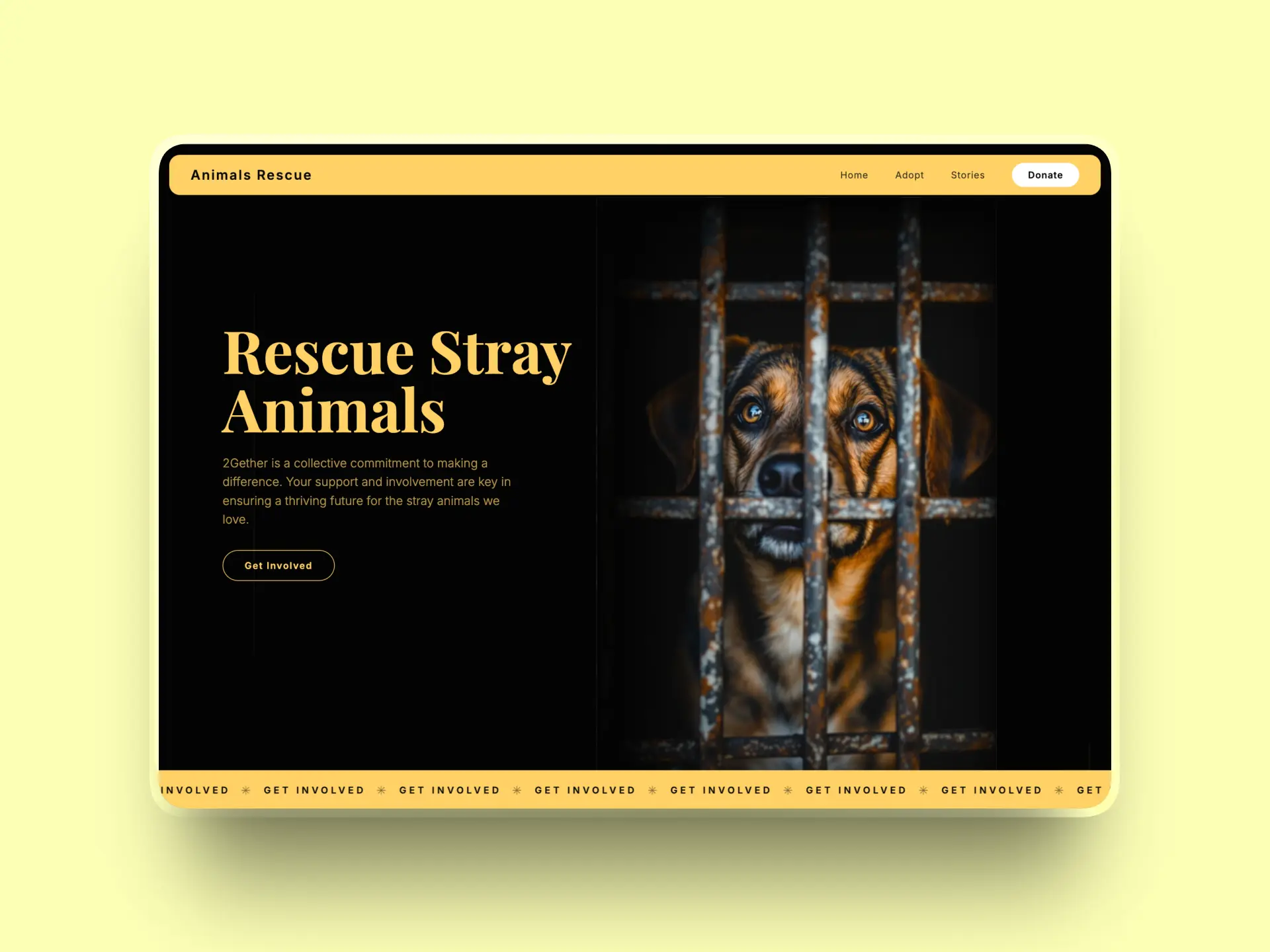  Every Stray Deserves  animals 