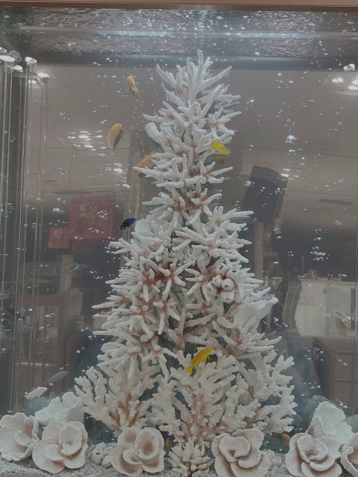 アクアリウム空間デザイン