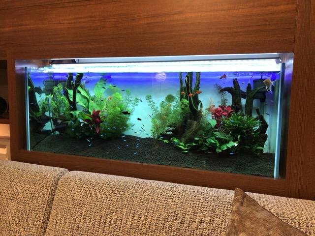 アクアリウム空間デザイン