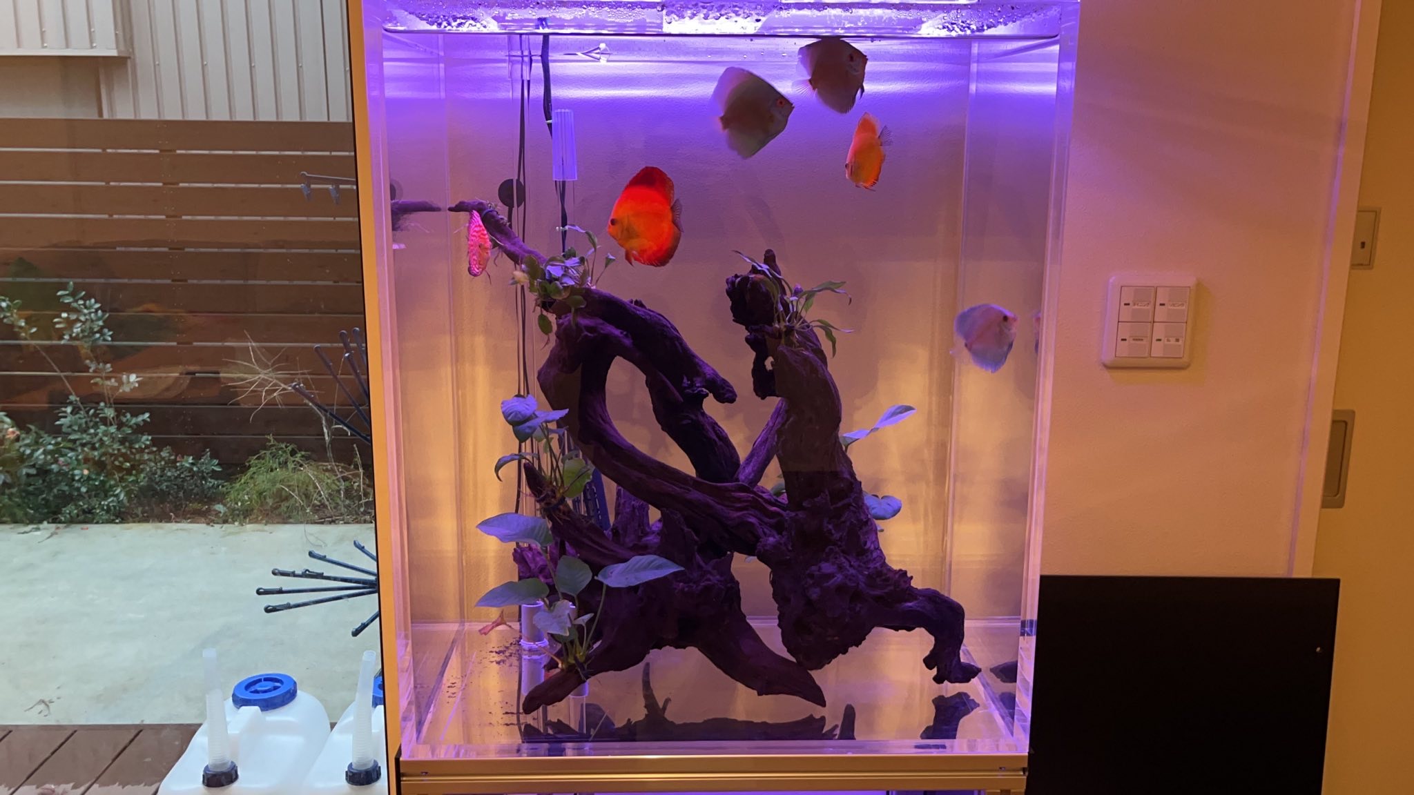 クリーニング・現場美装