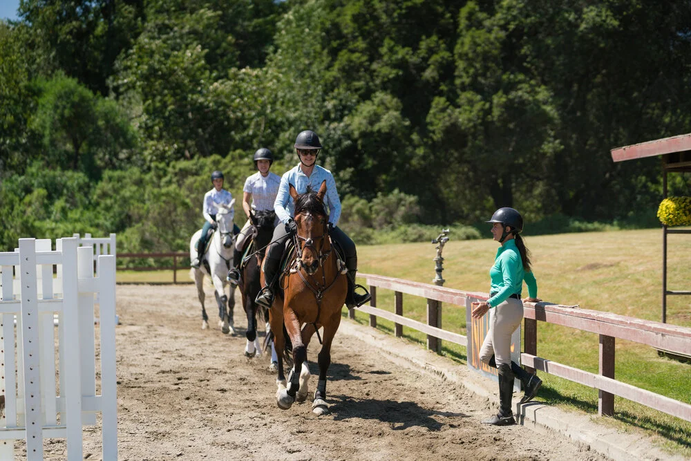 Horse Riding Lessons for Beginners