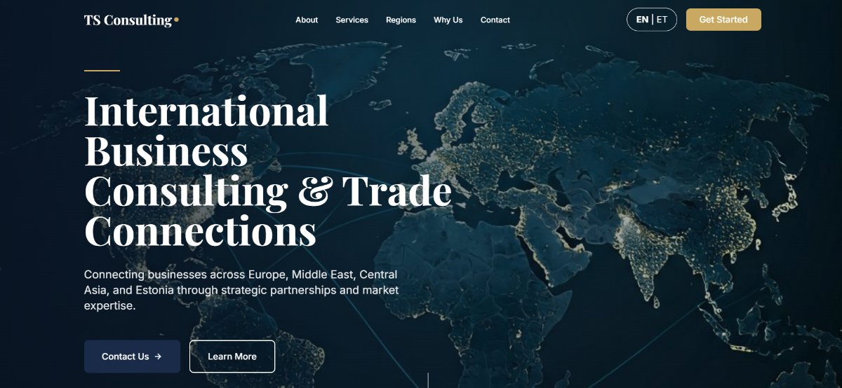 TS Consulting website