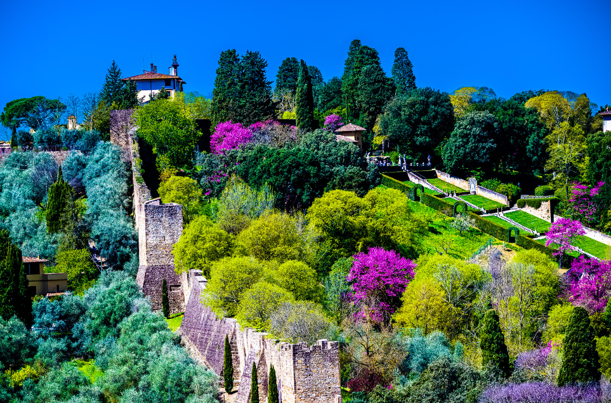 Breathtaking and Perfect