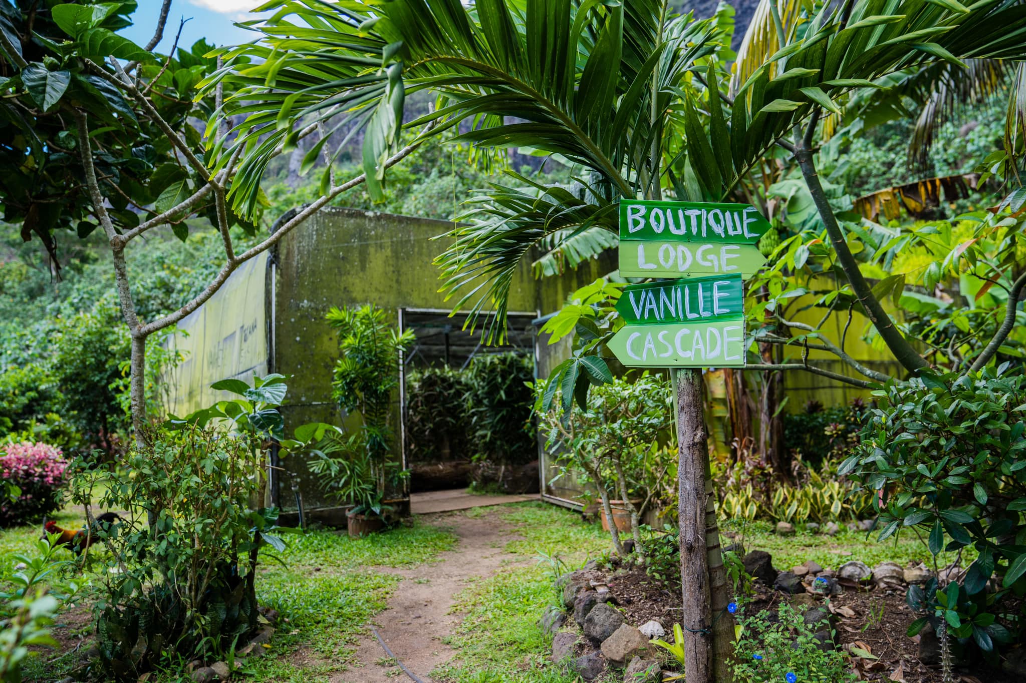 Entrée du jardin tropical, un chemin verdoyant menant vers la vanille, la boutique et un univers naturel préservé.