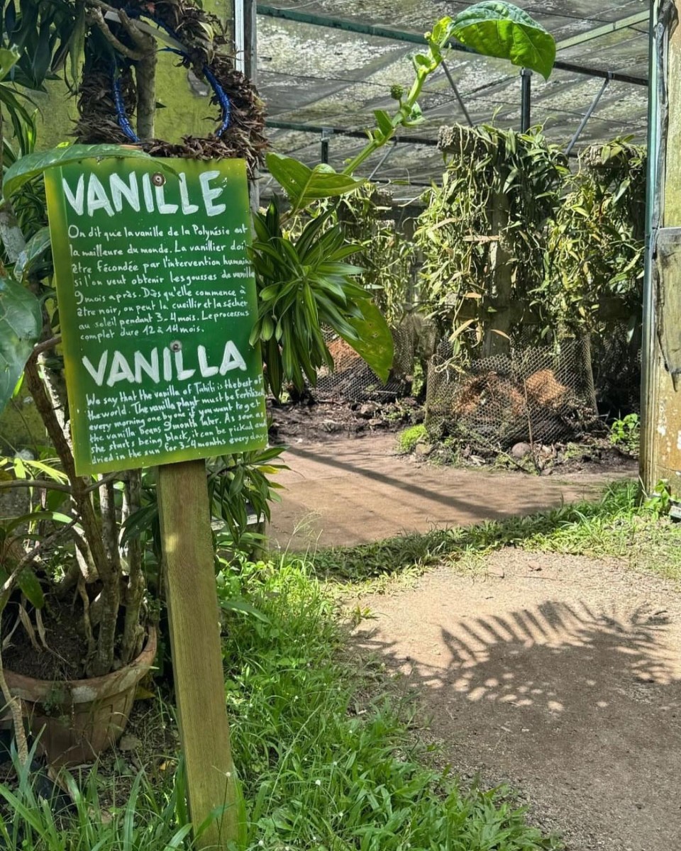 La Vanille
