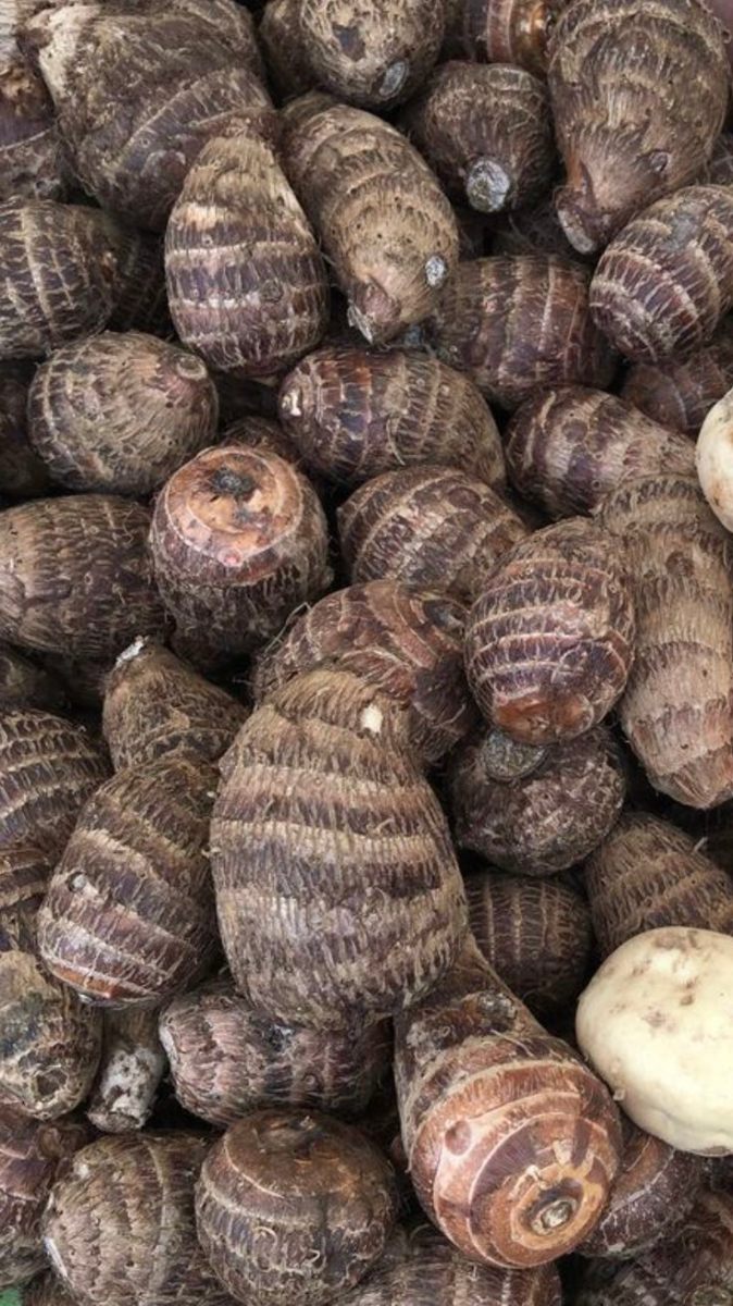 Cocoyam - authentic Nigerian food export