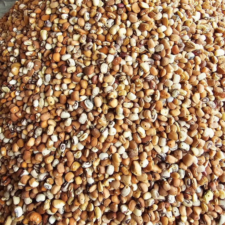 Nigerian Brown Beans - authentic Nigerian food export