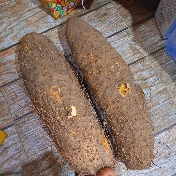 Fresh Yam - authentic Nigerian food export