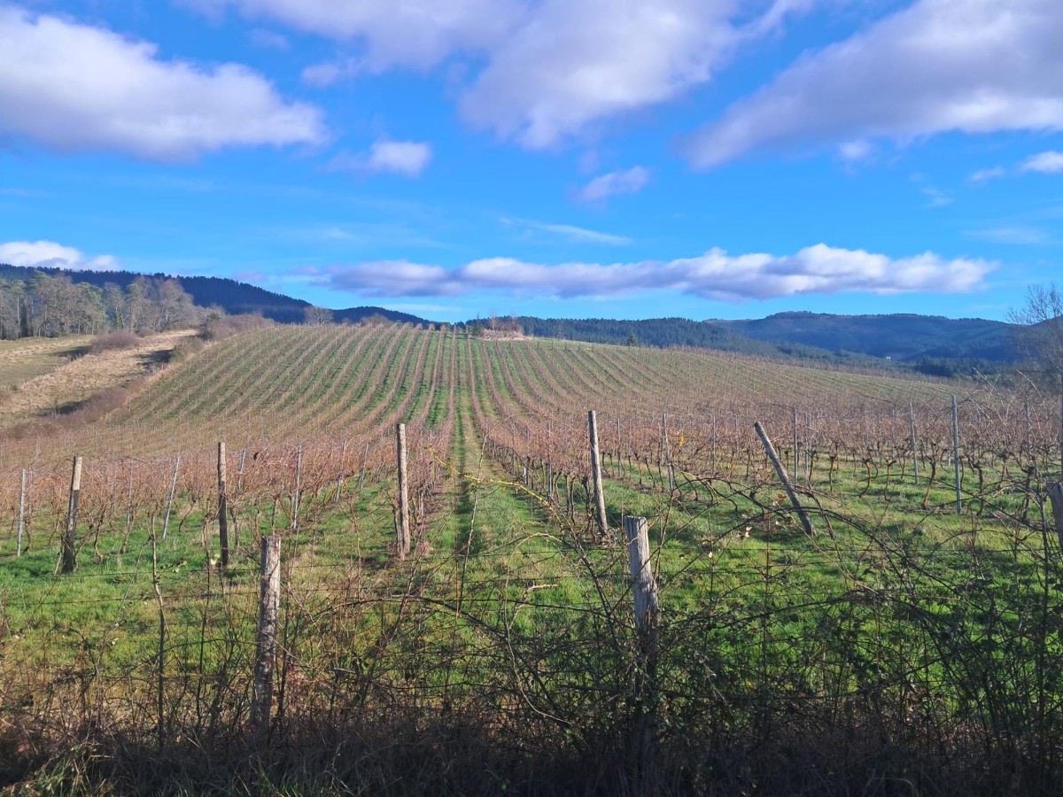 Orbea Gravel Aiaraldea