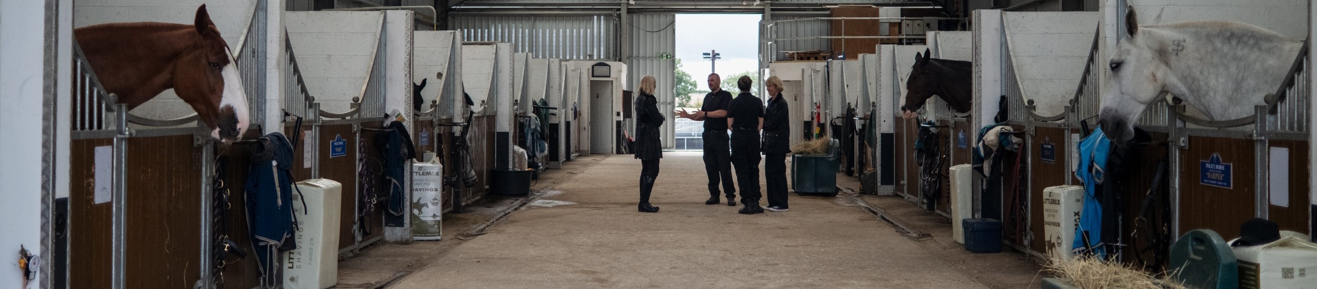 High Sheriff Fun Day