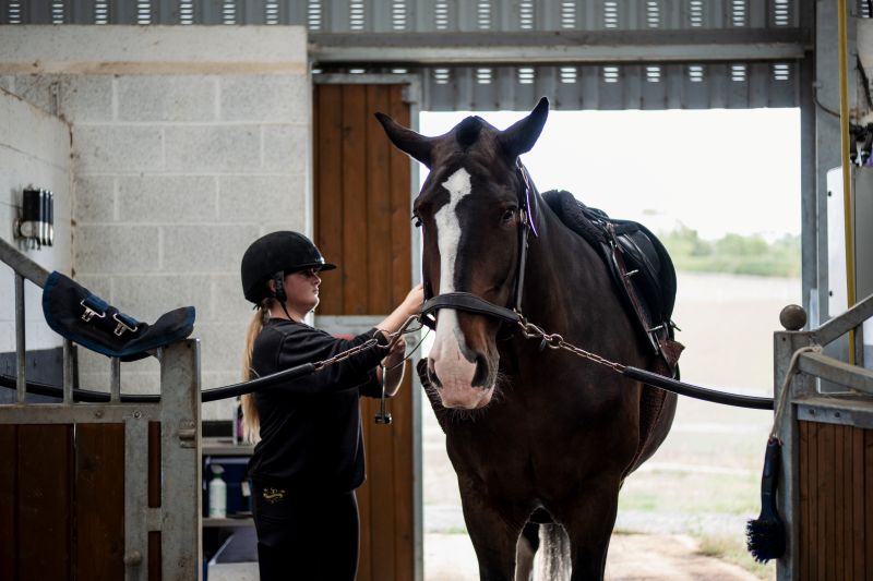 Thames Valley Mounted Police