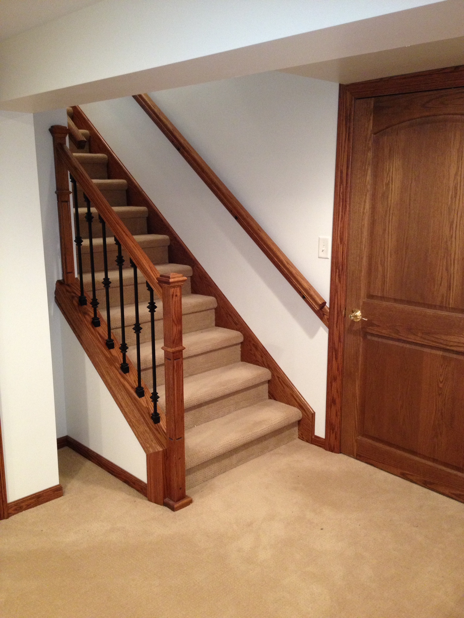 Basement Renovation 1