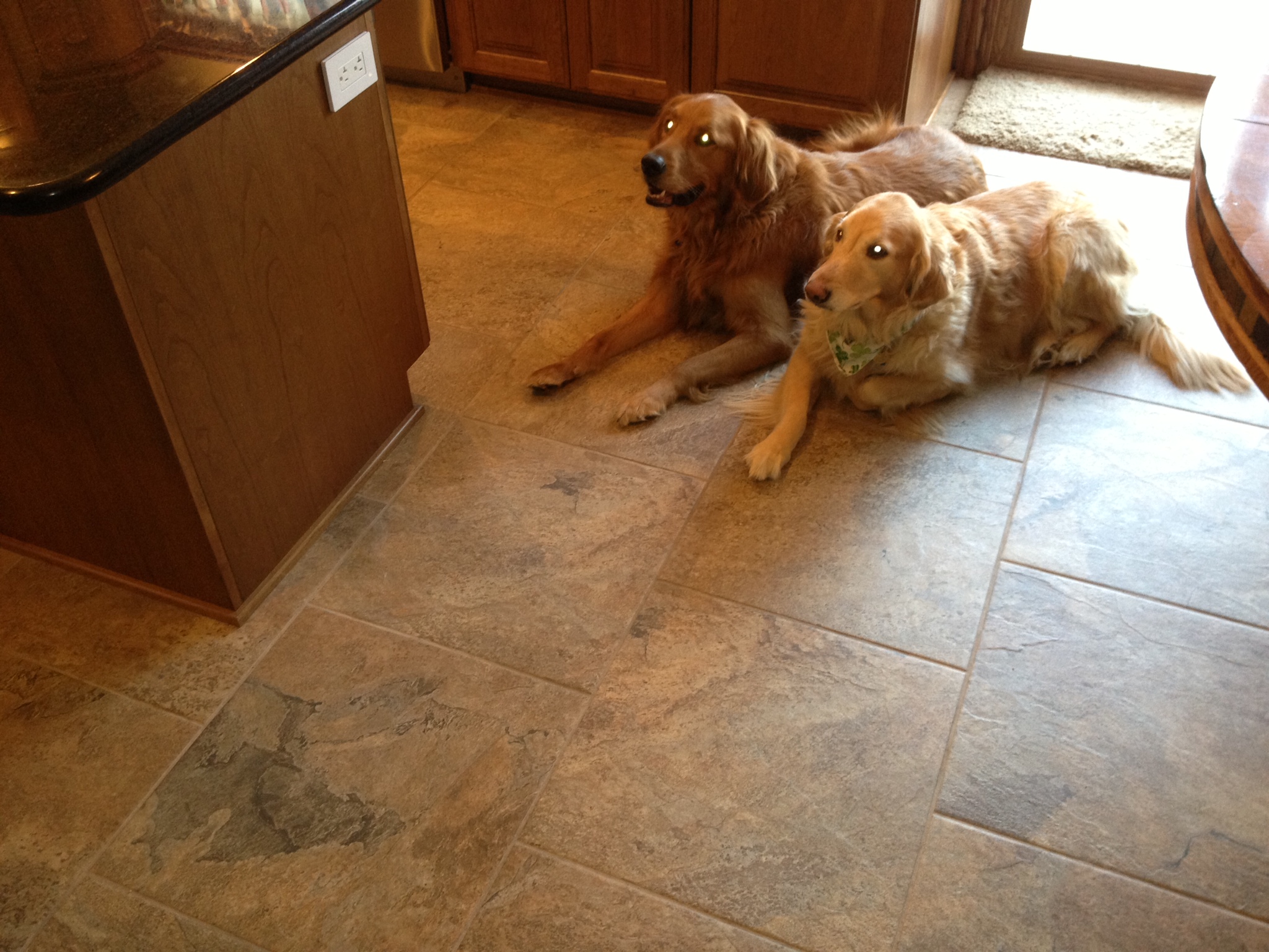 Kitchen Renovation 20