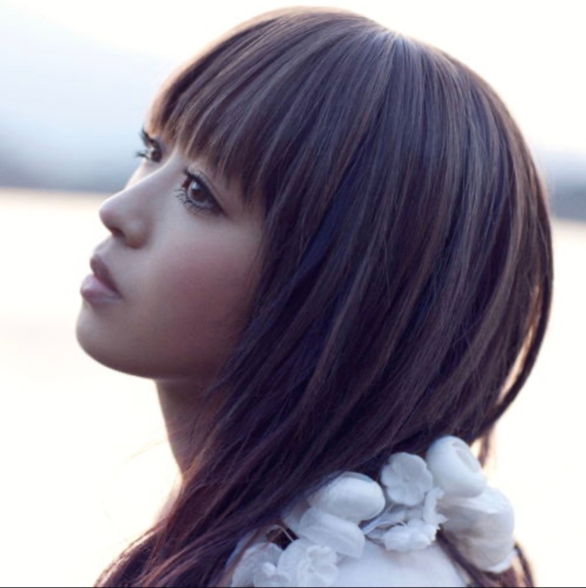 夜明けが来るまで