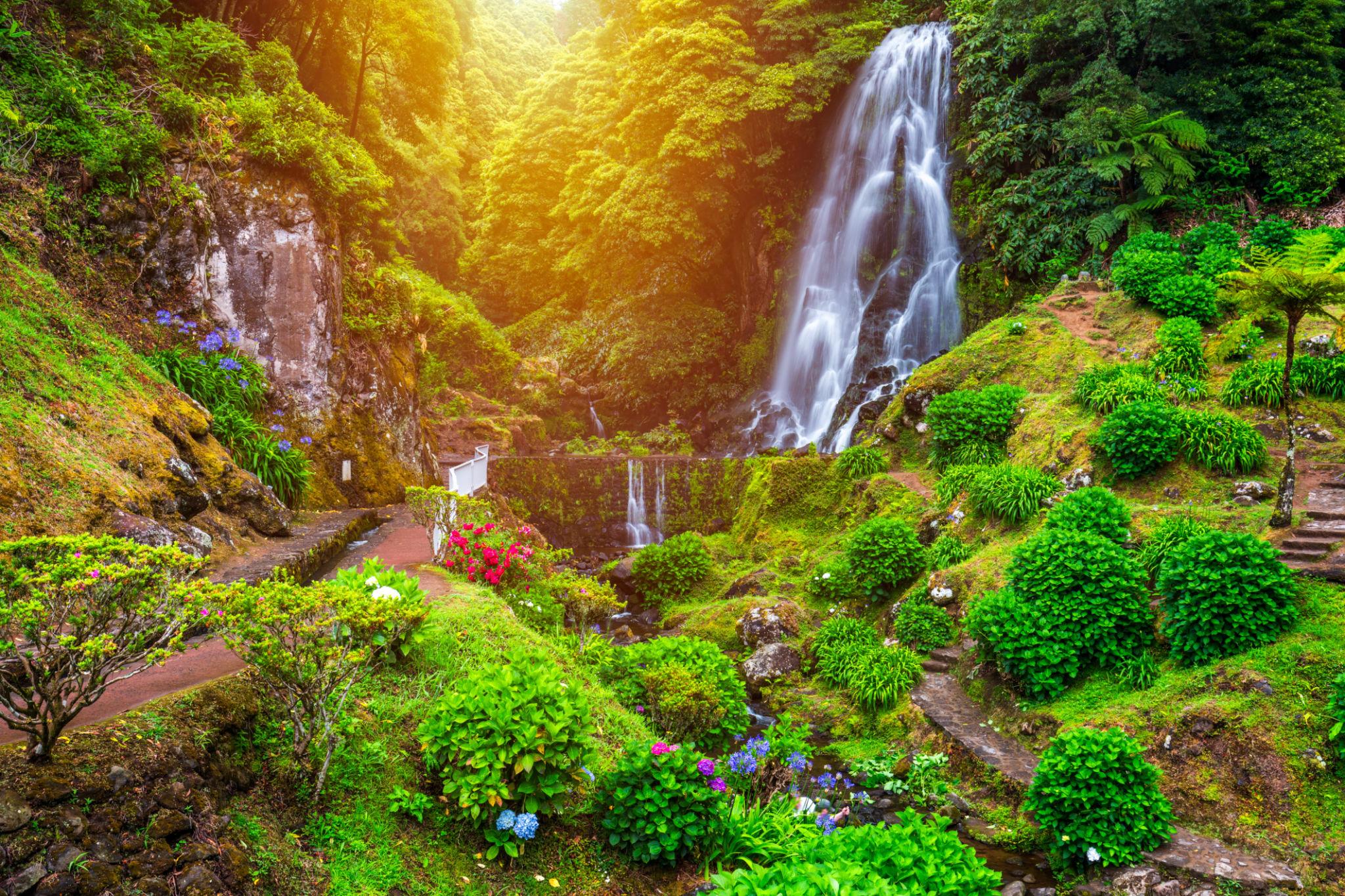 Remote working in Nordeste with nature views