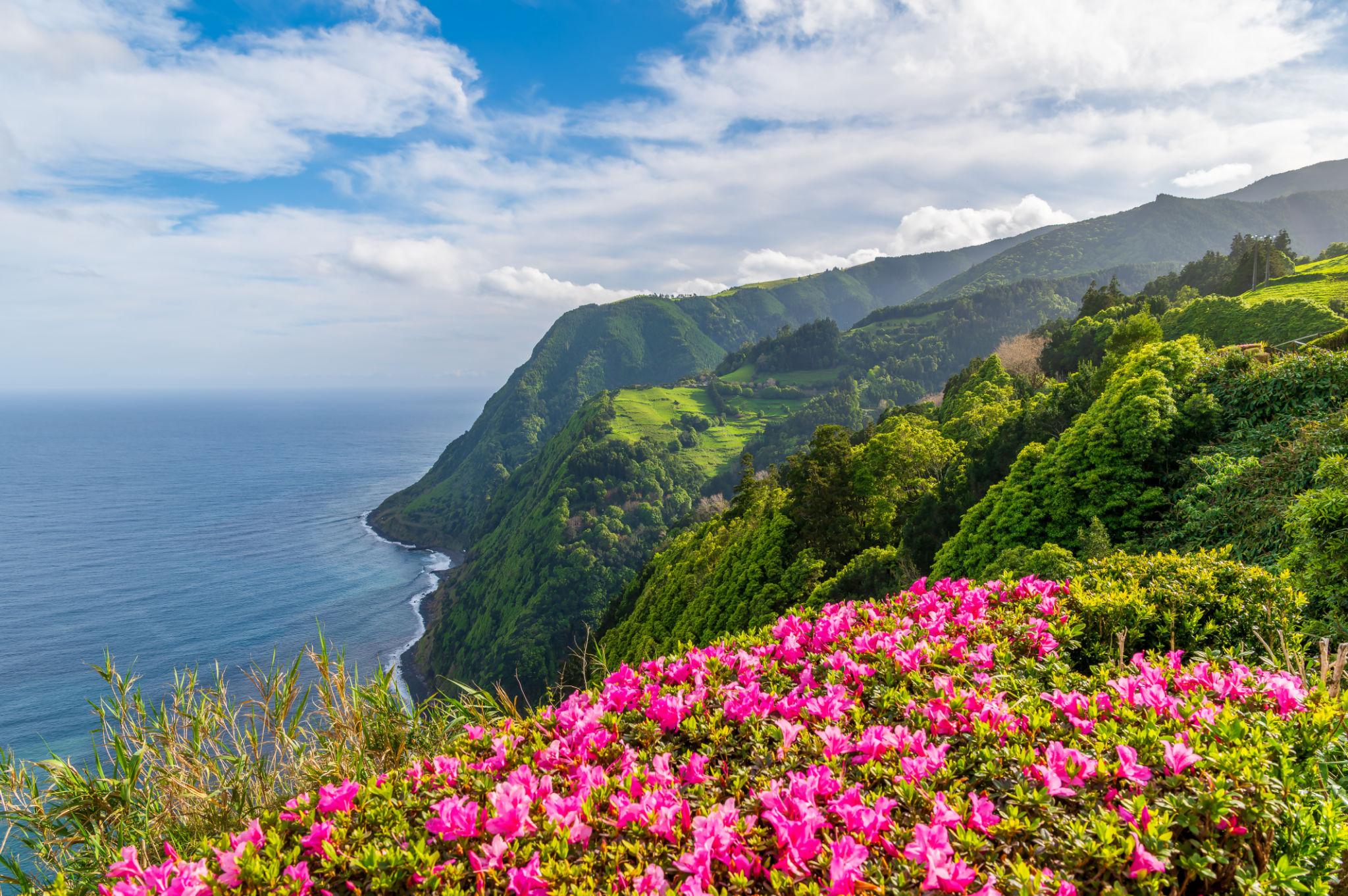 Nordeste — the wild northeast of São Miguel, Azores