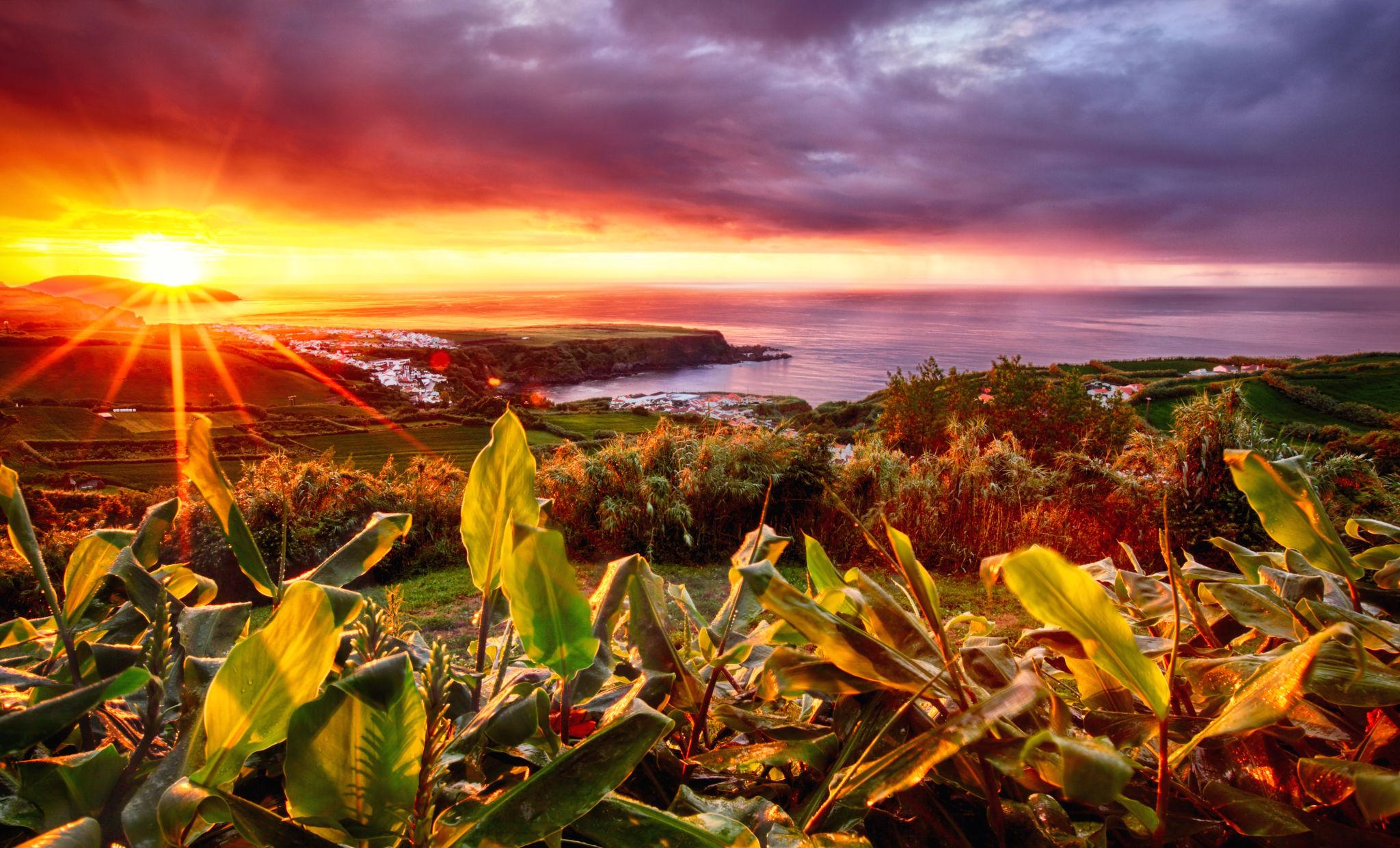 Ponta Delgada Azores winter