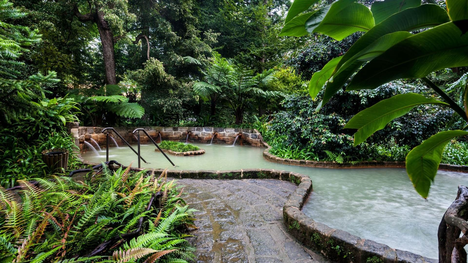 Furnas Thermal Pools & Terra Nostra